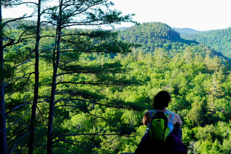 Seen from behind, a person is sitting on a rock looking out across a mountain valley in the summer.