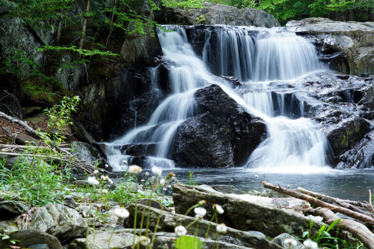 Seen from across the river, a waterfall with green plants in the foreground.